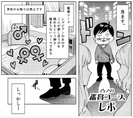 凸ノの鑑賞コースレポ